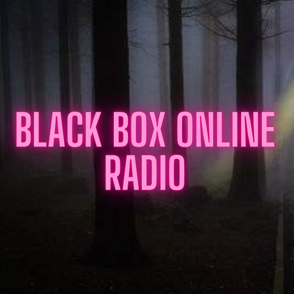 Black Box Online Radio: Crime and Government
